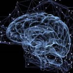 Mengenal Bagian Otak Serta Cara Tingkatkan Kinerjanya