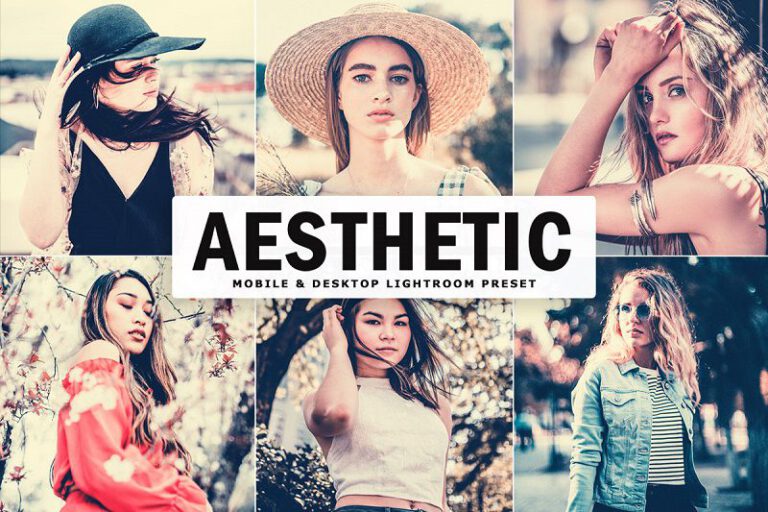 cara menggunakan preset lightroom aesthetic