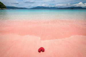 wisata laut terindah pink beach pulau komodo