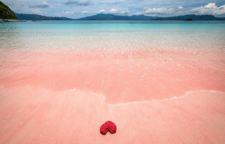 wisata laut terindah pink beach pulau komodo