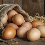 Manfaat Telur Ayam Kampung Bagi Kesehatan dan Cara Memilihnya manfaat telur ayam kampung