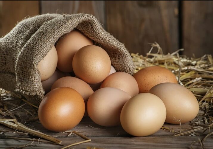 manfaat telur ayam kampung