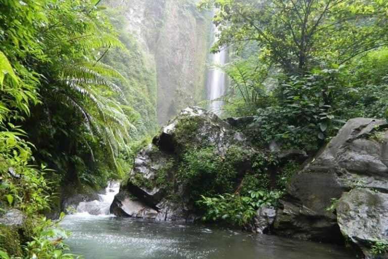 coban glotak
