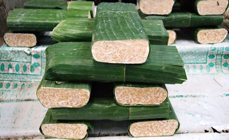 tempe bongkrek