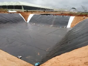 pengertian geomembran adalah