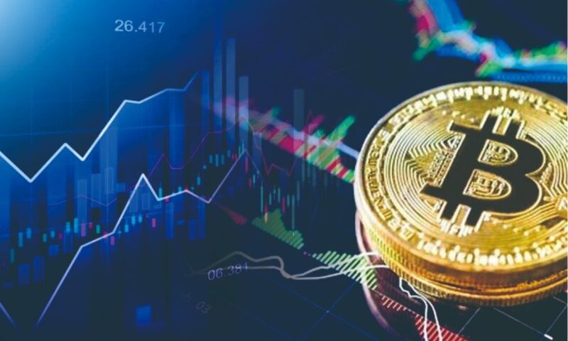 cara untung dari kripto